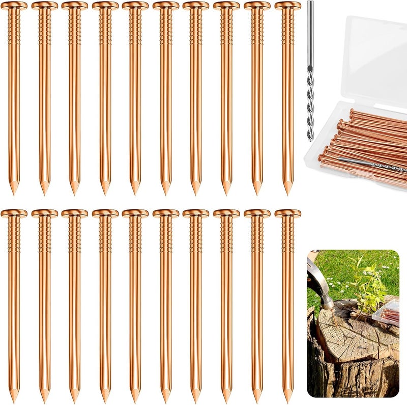 UCandy 20Pack Copper Nails for Killing Trees Stump Root, 3.15" Copper Nails with Drill, Stump Removal Spikes Hardware Nails for Trees - Image 1